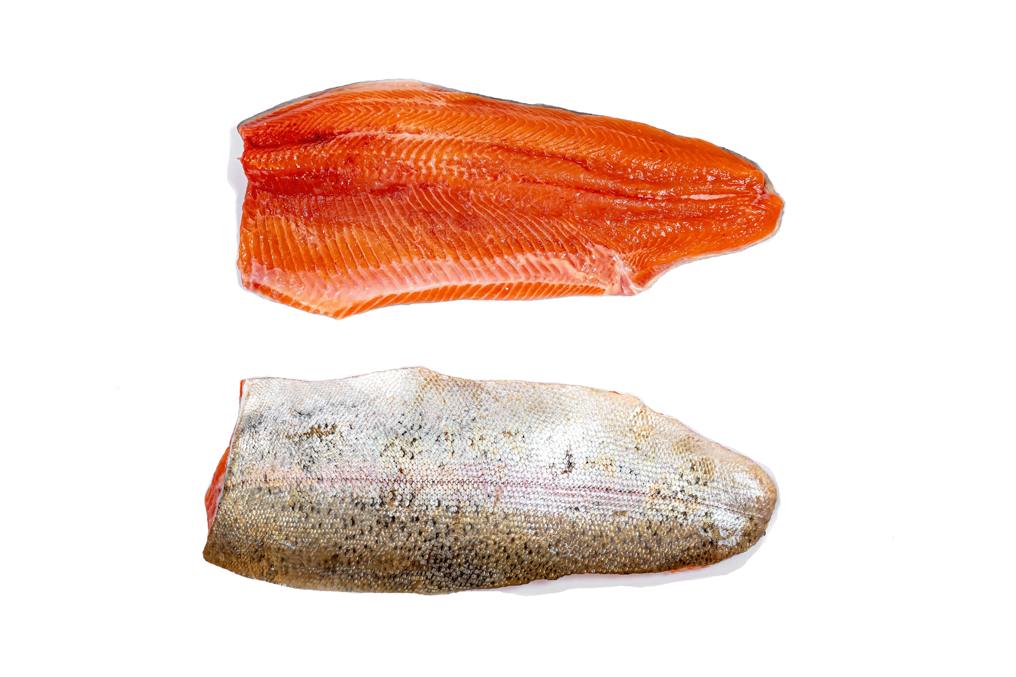 Bio Lachsforellenfilet - fischammarkt-onlineshop.at